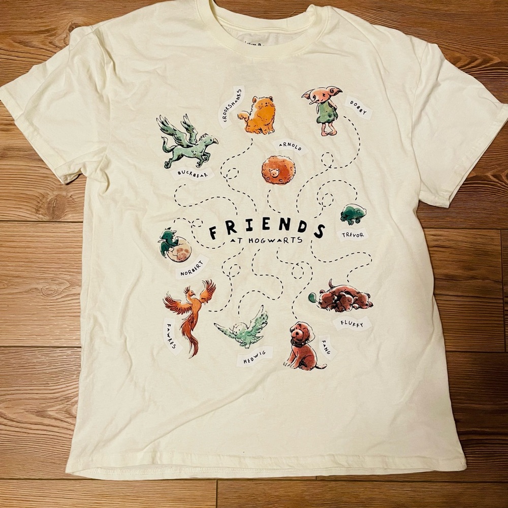 Harry Potter Friends at Hogwarts T-shirt